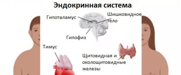Как наладить гормональный фон без гормональных. Гормоны у подростков. гормональный сбой симптомы. нормализация гормонов у женщин. нормализация гормонов у подростка.