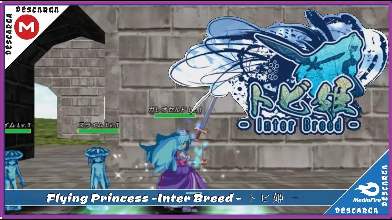 Inter breed. Tobihime анимации. flying princess: inter breed. tobihime - inter breed - [dystopia story]. flying princess: inter breed (tobihime).