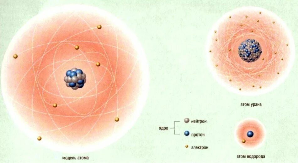 Ядро и электроны в атоме. Модель атома урана. Протон это ядро атома водорода. Атомное ядро.