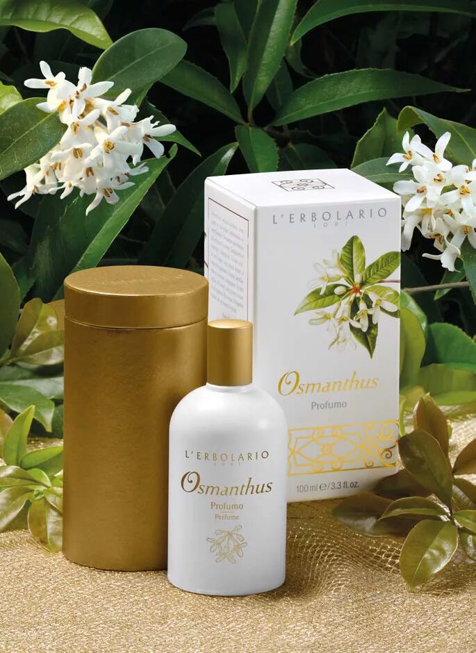 Духи l'Erbolario Osmanthus. L Erbolario Osmanthus османтус Парфюм. Фрезия и османтус. LERBOLARIO аромат жасмина.