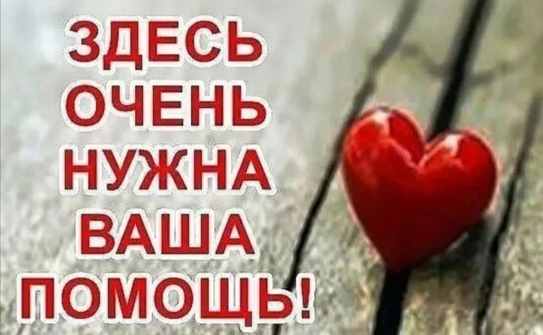 Помогаю репостом
