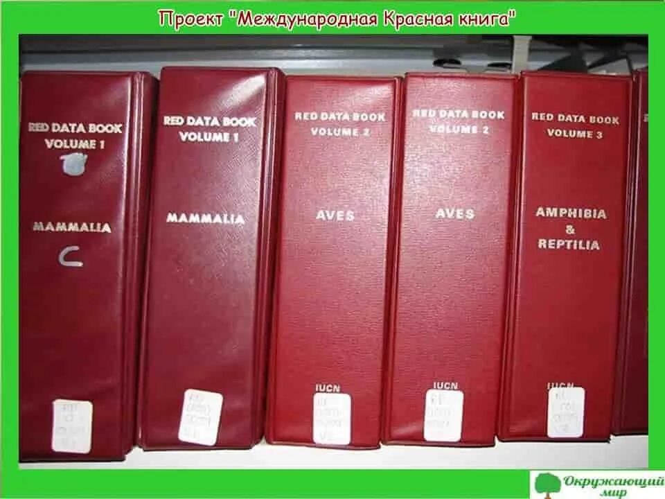 Международная книга россии. Первое издание международной красной книги. Международная красная книга Red book. Первоое тздагте красной книг. Красная Клинга.