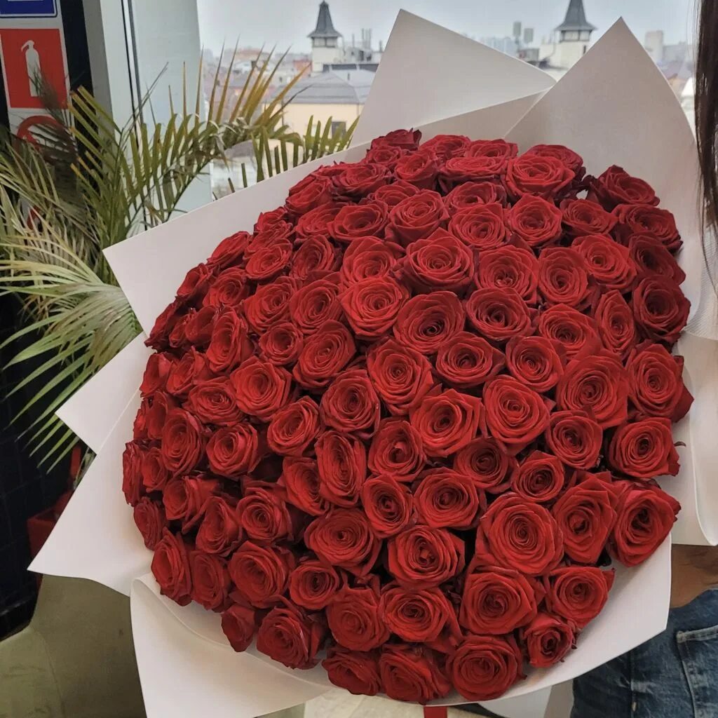 Красивый букет из 101 розы. Букет из 101 розы. Букет из 101 розы. Фото 101 розы. Фото 101 розы.