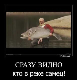 Она как рыба