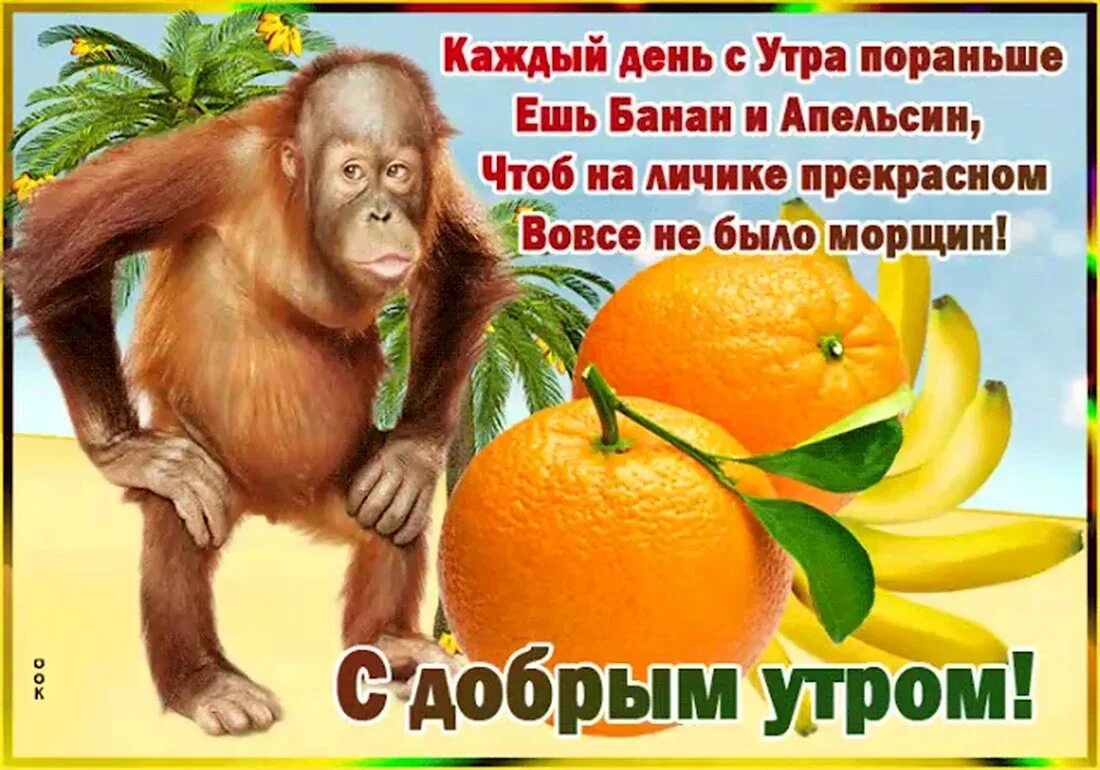 Пикольныеоткрытки с добрым утром. Смешные пожелания с добрым утром. Открытки с добрым утром прикольные. Смешные пожелания с добрым утром. Открытки с добрым утром смешные.