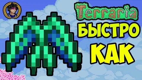 Души полета террария