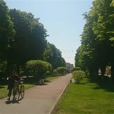 Костюковка колледж