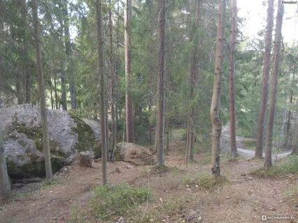 Парк монрепо расписание