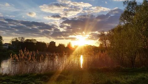 Уже совсем рассвело