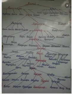 Род уак