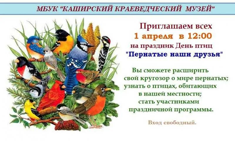 Рисунок ко дню птиц. Выставка о птицах в библиотеке. День птиц. Забота о птицах зимой. Проект зимующие птицы.