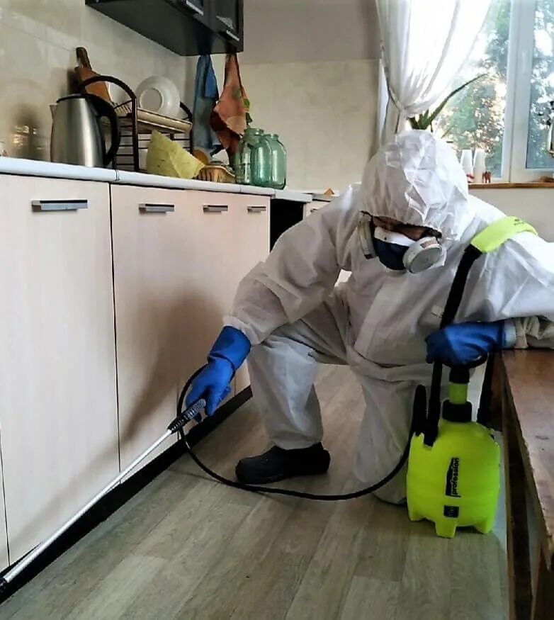 Дезинсекция. Дезинсектор клопов москва. Дезинсекция помещений. Дезинфекция дератизация дезинсекция деконтаминация. Уничтожение клопов.