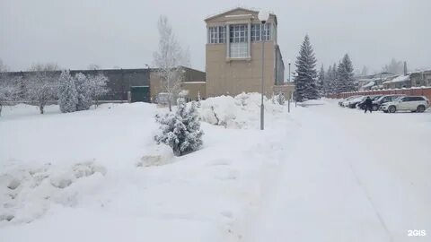 Алгонт