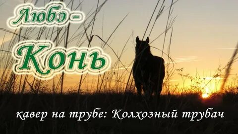 Песня конь можно