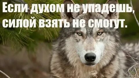Сила вашего мужчины