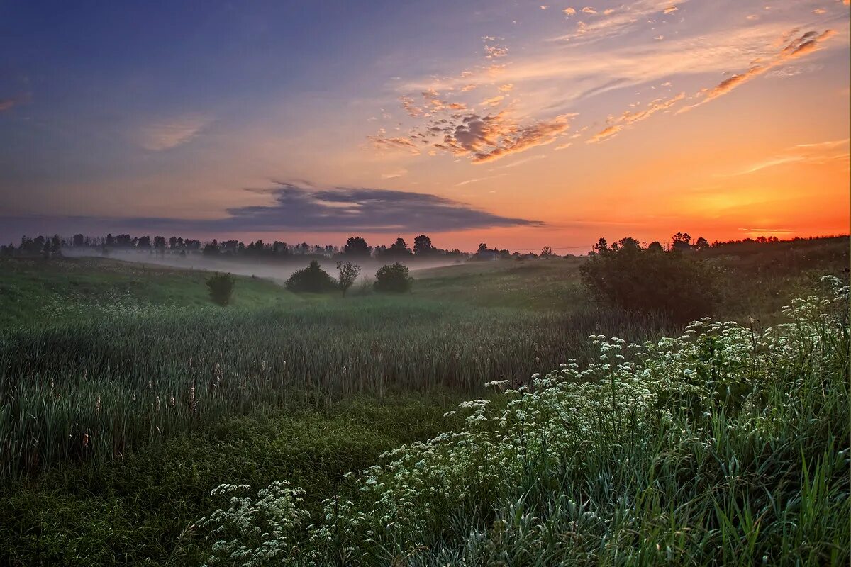 утро в деревне. сообщение о празднике шмуэль тряпичник. утренняя природа. ночное небо со звездами. утренний туман.