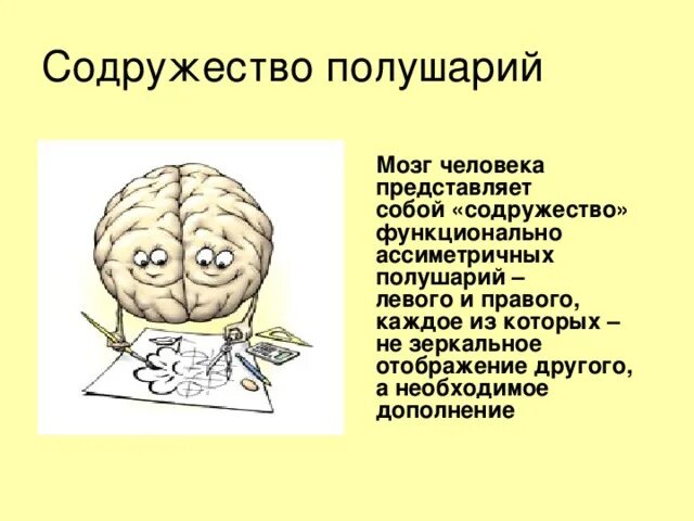 Левое и правое полушарие мозга. Мозговые полушария. Мозг человека левое и правое полушарие. Левое полушарие мозга человек. Правая гемисфера мозга