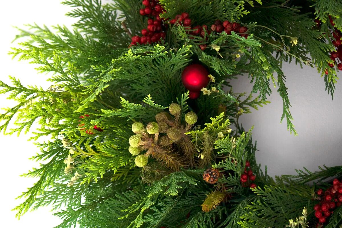 новогодняя композиция из можжевельника. новогодняя композиция из веток можжевельника. можжевельник казацкий шишки. идеи фотосессии с елочными ветками. нобилис икебана.