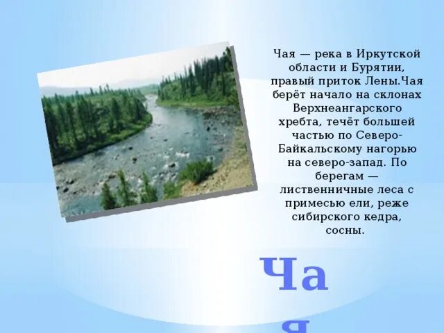 Водные богатства иркутской области. Река чая приток Лены. Река чая Иркутская область притоки. Карта реки чая Иркутская область. Самые крупные реки Иркутской области.