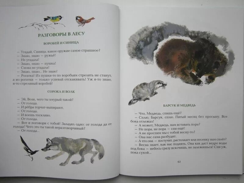 Барсук маленький медведь. Медведь барсук. Барсук и медведь рисунок. Барсук и медведь читать. Николай сладков барсук и медведь.