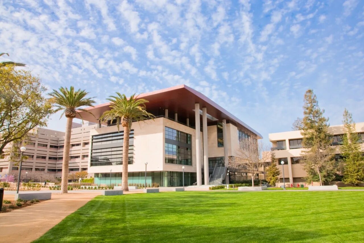 Stanford school