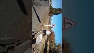 Ауылские движения zaga