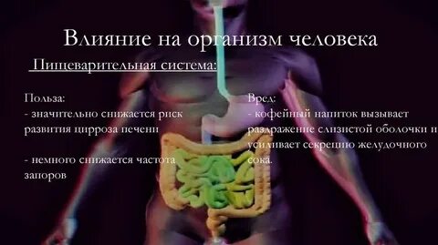 Как влияет печень на организм
