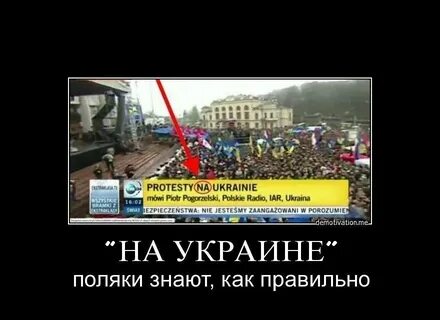 Почему поляки не любят