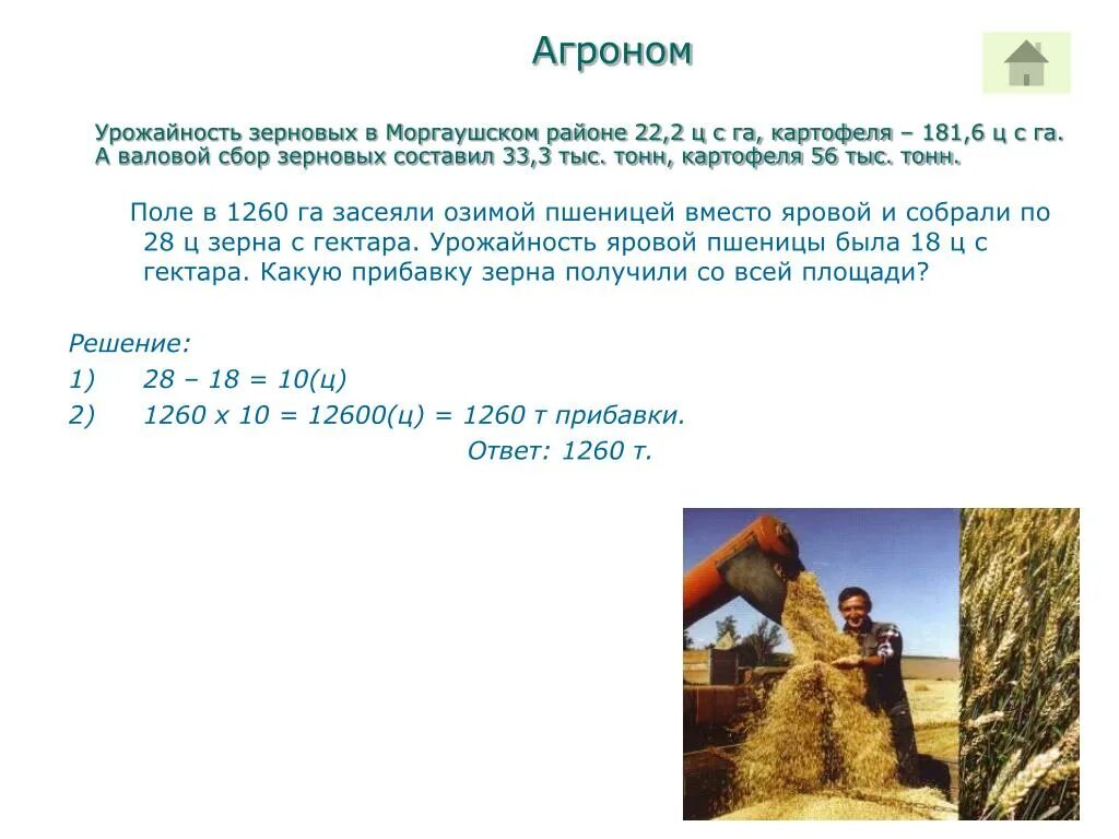 Задачи на урожайность. Поле в 1260 га засеяли. Поле в 1260 га засеяли озимой пшеницей вместо Яровой и собрали по 28. Задачи на среднюю урожайность 5 класс.