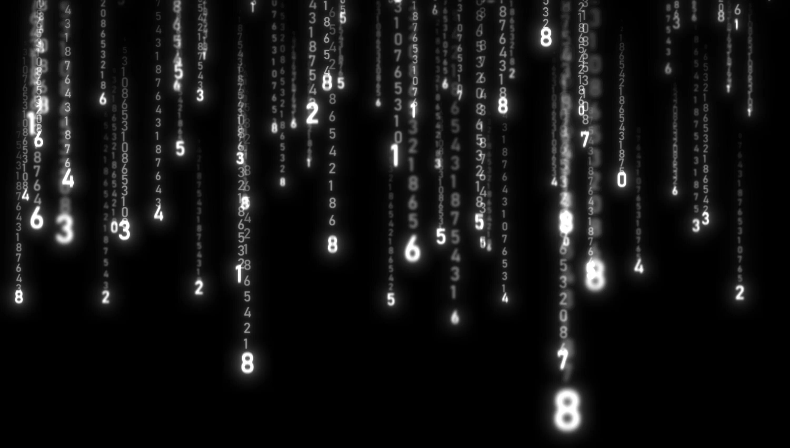 Цифровой код видео. Цифровой код. цифровые технологии. falling numbers.