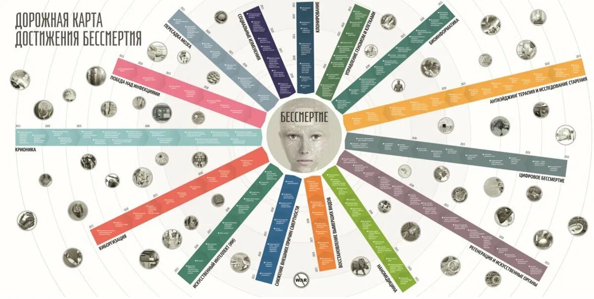 Дорожная карта бессмертия. Дорожная карта личности. Инфографика бессмертие. Дорожная карта достижений