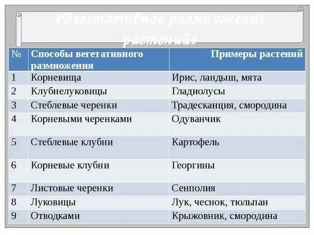 Способы размножения растений 6 класс биология тест. Способы вегетативного размножения 6 класс биология. вегетативное размножение таблица 6. таблица по биологии 6 класс по теме вегетативное размножение растений. способы вегетативного размножения растений схема.