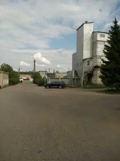 Новопетровское шаховская
