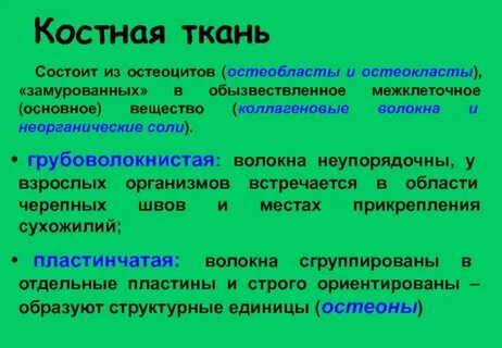 Основным неорганическим веществом костной ткани