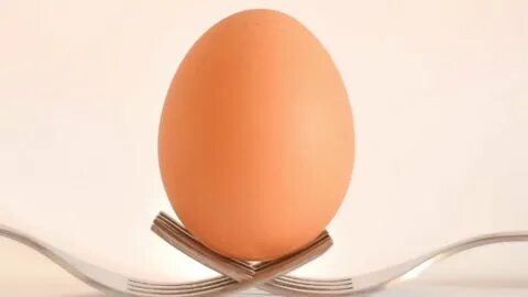 Egg москва