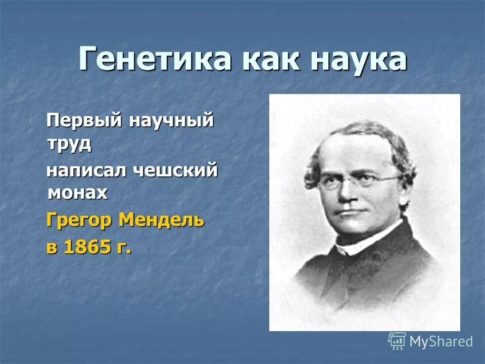 Генетика автор. Генетика автор