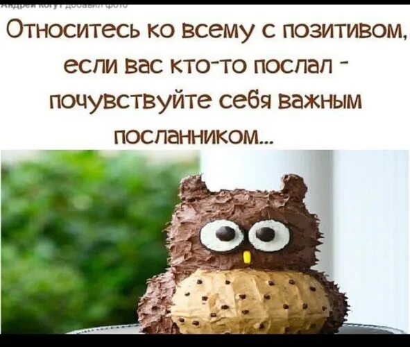 Позитив одноклассниках. Позитив на день. Позитив на каждый день. Позитивное начало дня. Позитива на весь день.