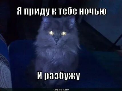 1 приходи ка
