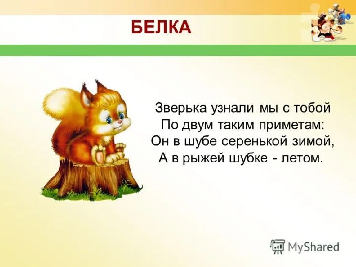 Про белочку и погоду 2 класс ответы. Белка текст. Рассказ про белку. Белка это слово песня. Текст песни белка.