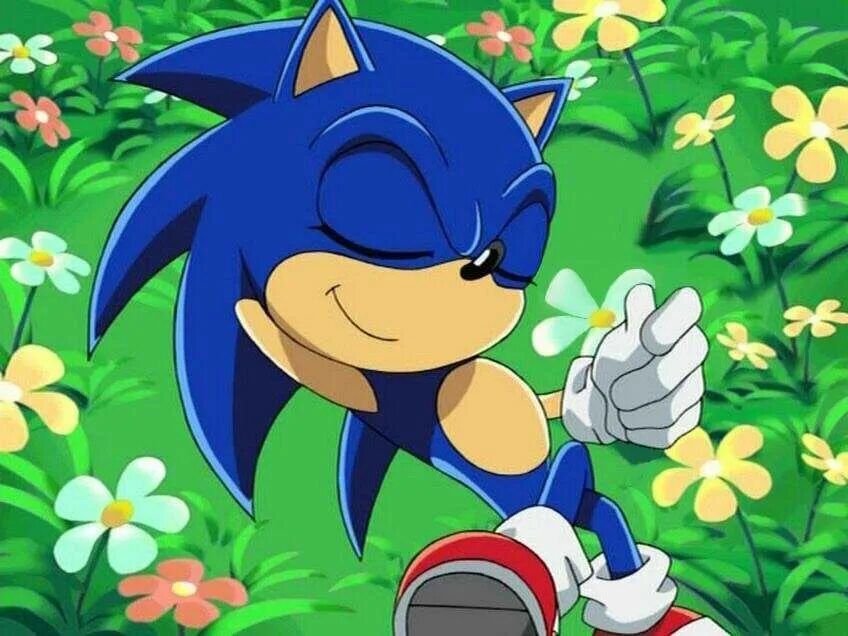Соник икс. Соник с цветочком маленький. Sonic маленький. Dubstep sonic. Беби из соника.