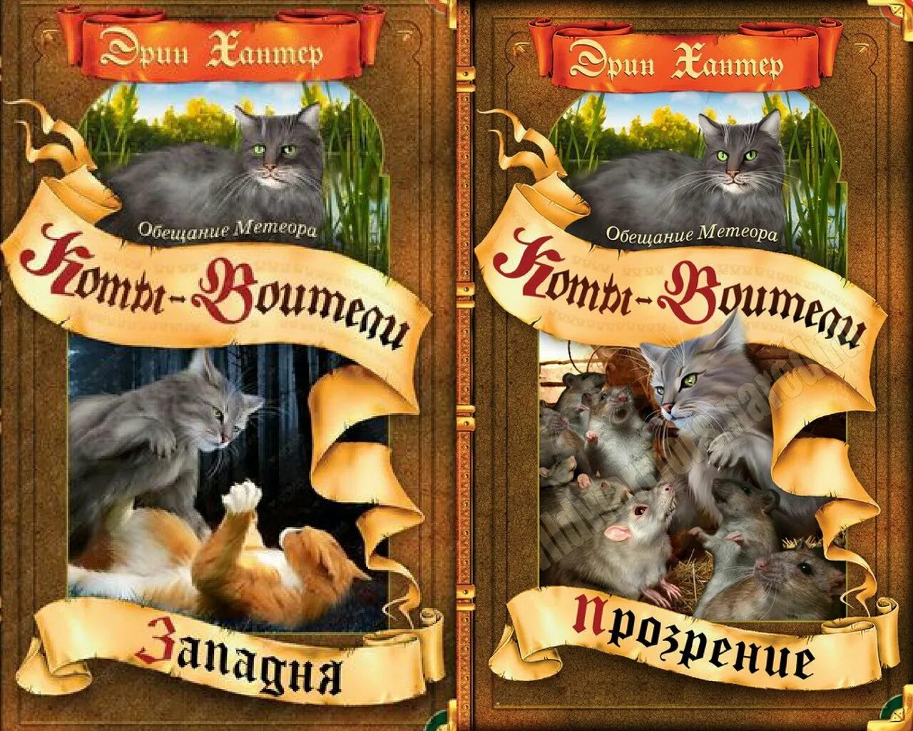 Название книг коты воители. Коты воители обещание метеора. обложка коты-воители обещание метеора. коты воители западня книга. коты воители обещание метеора прозрение.