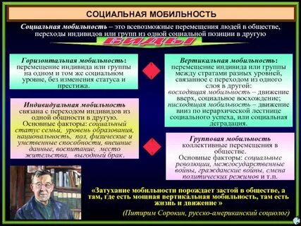 Организованной мобильностью называют перемещения человека
