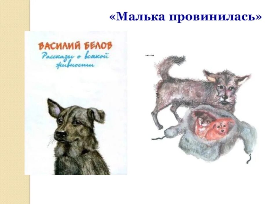 Рассказы про мальку читать. В Белов малька провинилась иллюстрации. Василия Белова "малька провинилась".