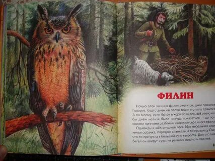 Совы прилетают в полночь аудиокнига