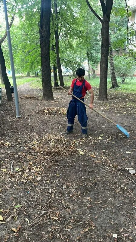 жилищник уссурийская