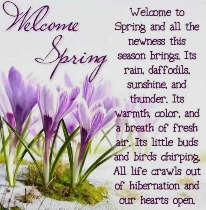 The beginning of spring march april is. With the first day of spring. цитаты про весну. happy first day of spring. first day of spring картинки.