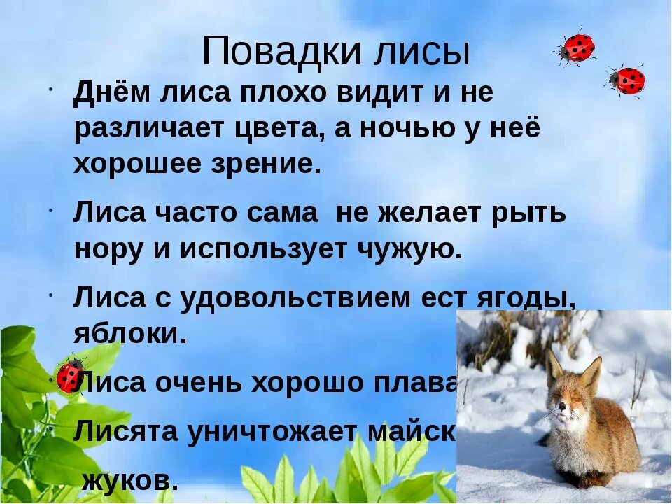 Повадка зверя