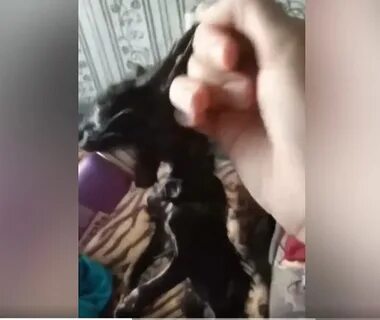 Издевается и душит
