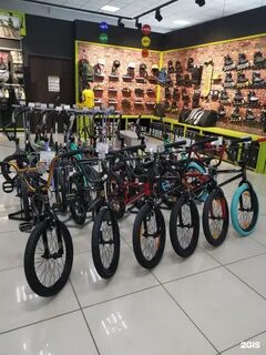 Триал бийск
