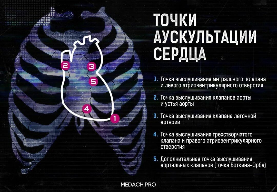 Прослушивать сердце
